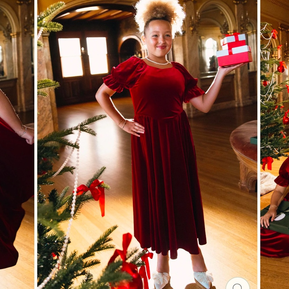 Ivy City NWT velvet red dress size 9/10